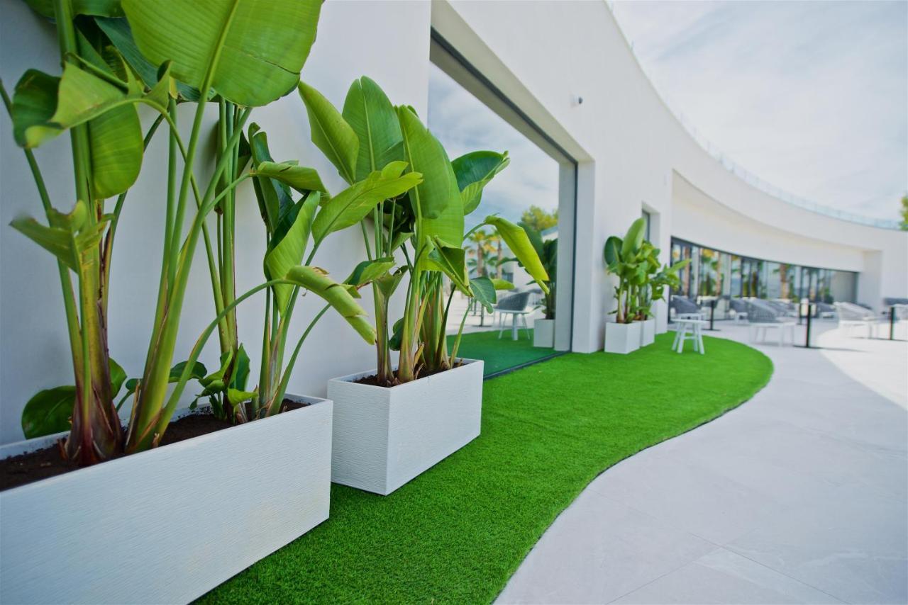 Syncrosfera Fitness & Spa Health Hotel Boutique Pedreguer Buitenkant foto